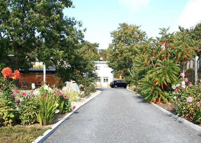Ferienwohnungen Villa Waldblick