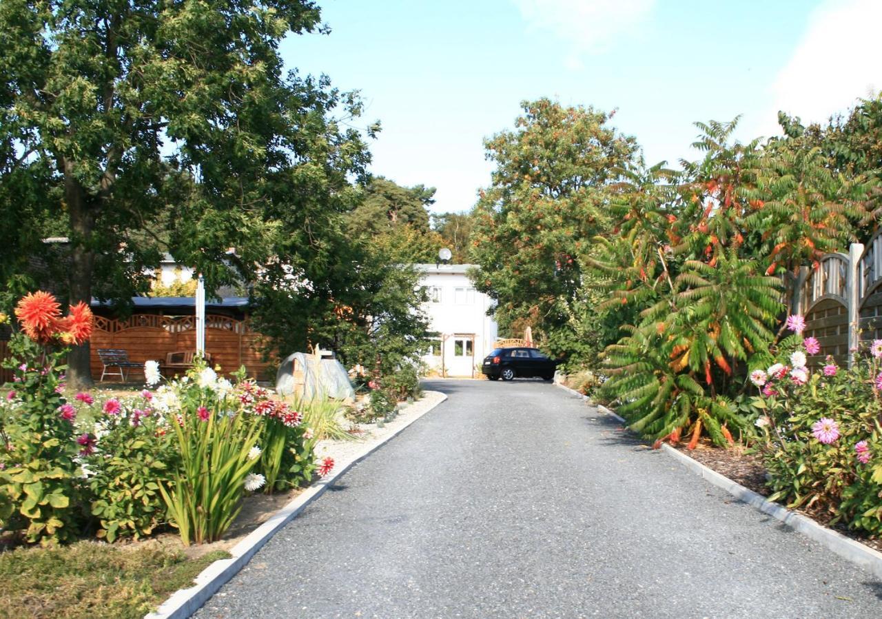 Waldblick Apartment